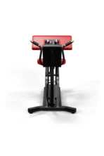 A300 Arm Curl