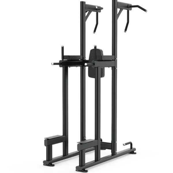DIESEL FITNESS VERTICAL KNEE RAISE