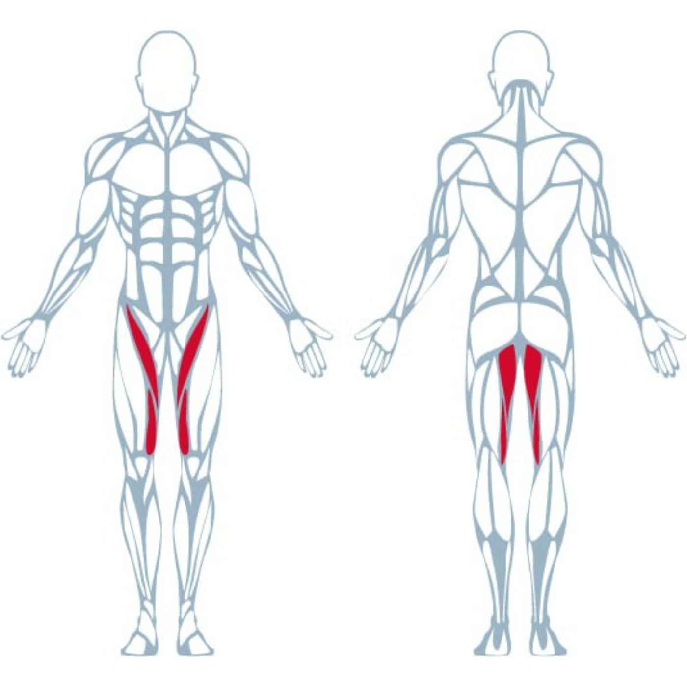 A300 Hip Adductor - Görsel 8
