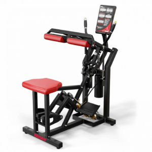 A300 Seated Calf