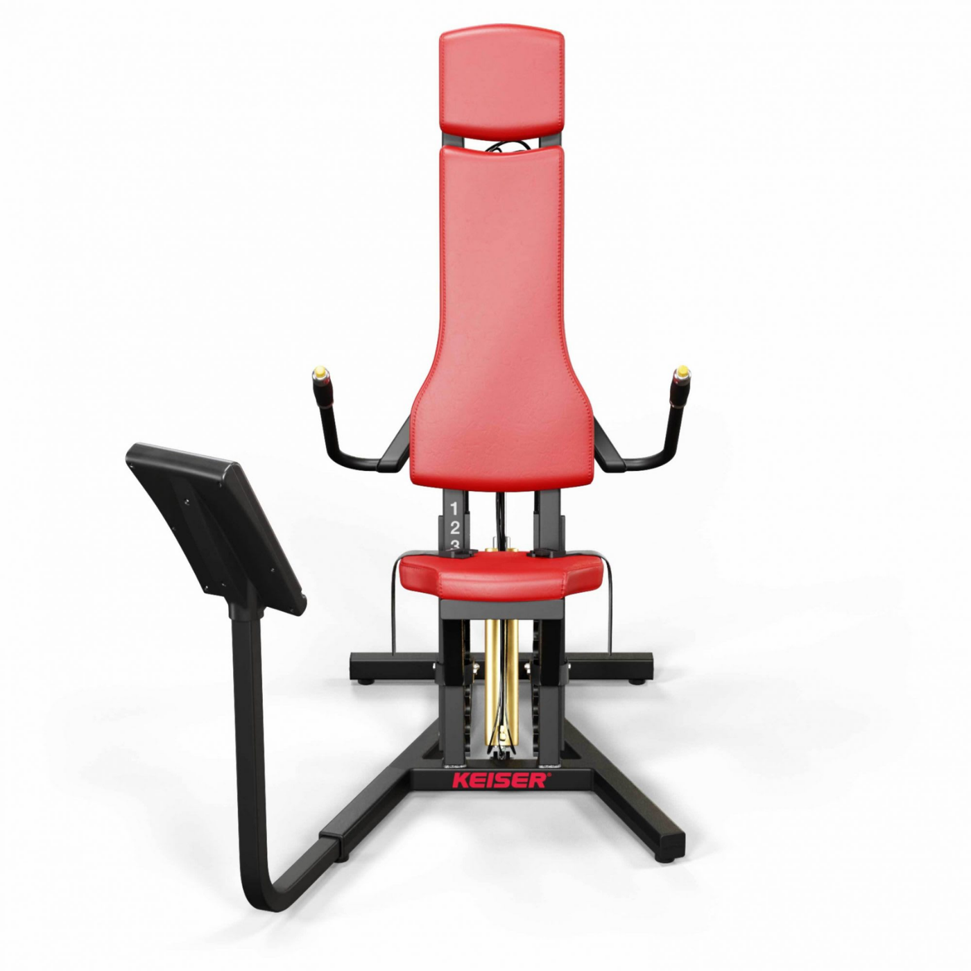 A300 Triceps - Görsel 6