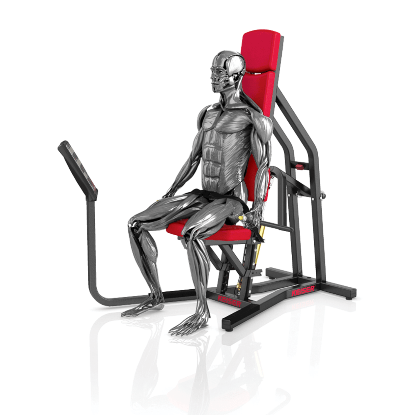 A300 Triceps - Görsel 7