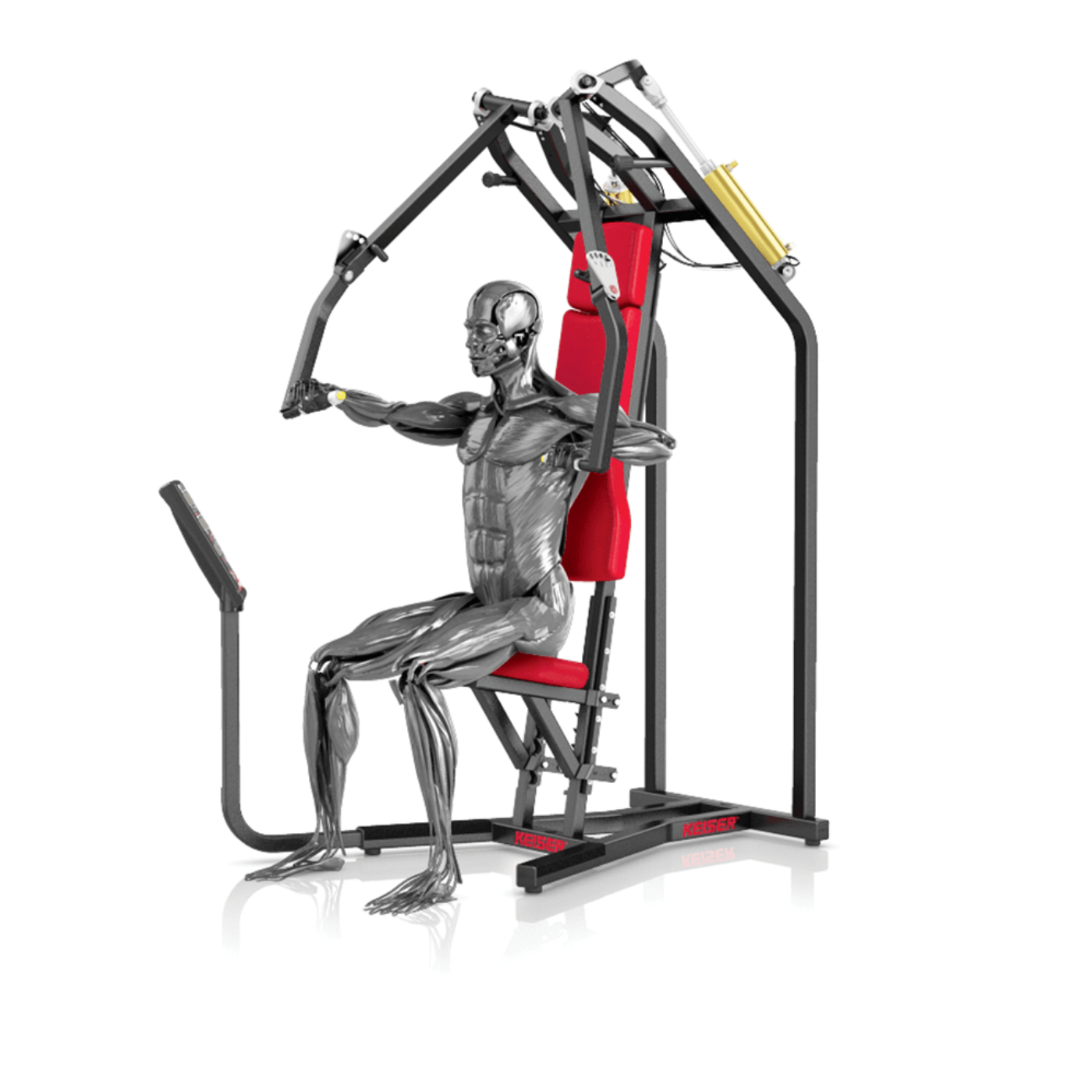 A300 Biaxial Chest Press - Görsel 7