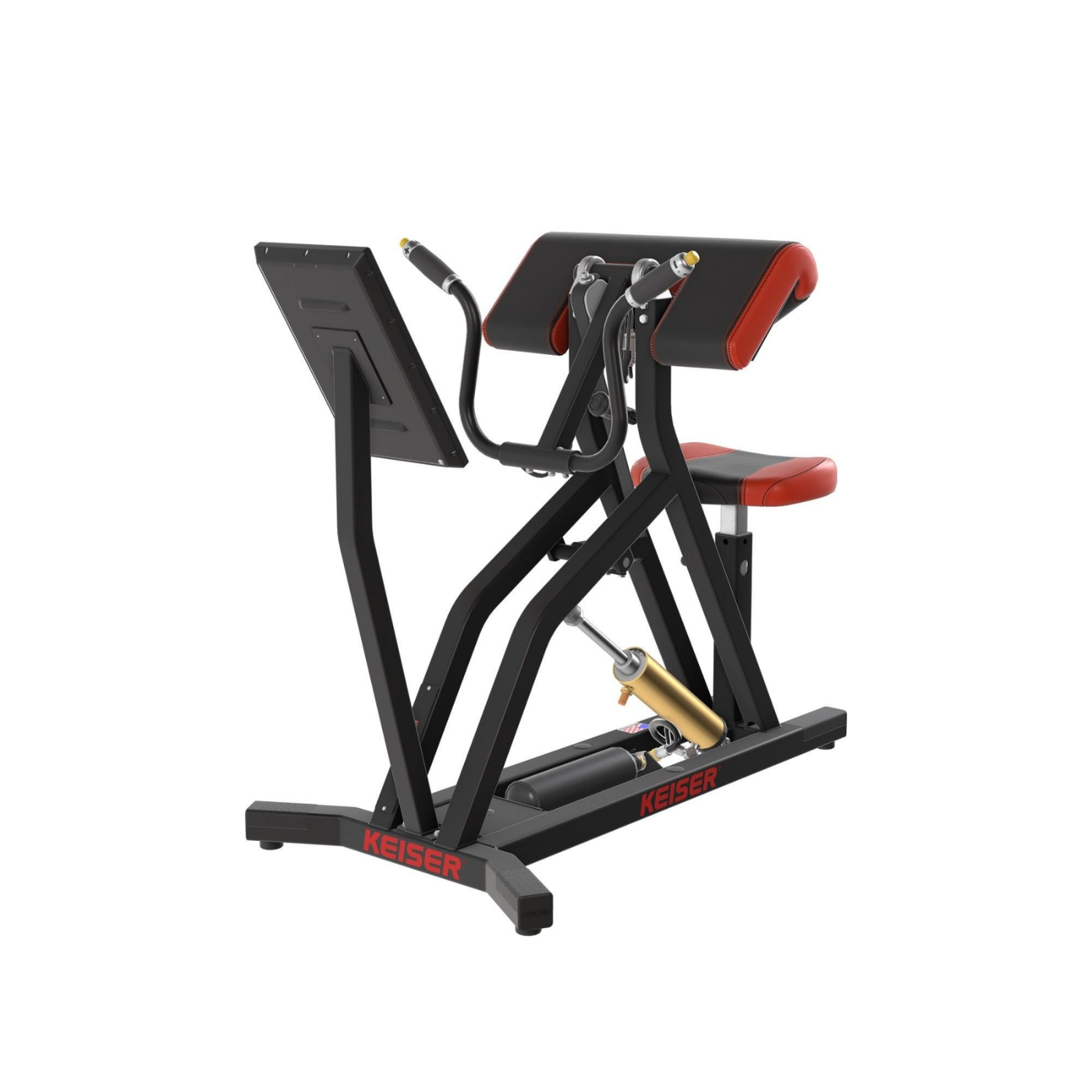 A400 Arm Curl