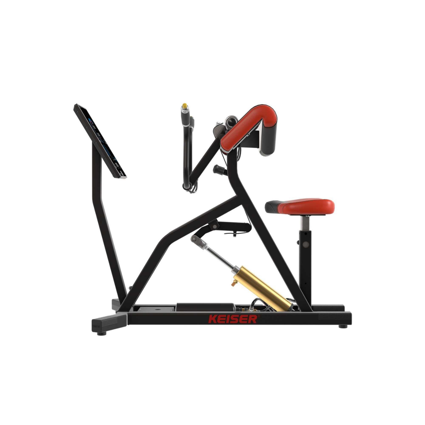 A400 Arm Curl - Görsel 2