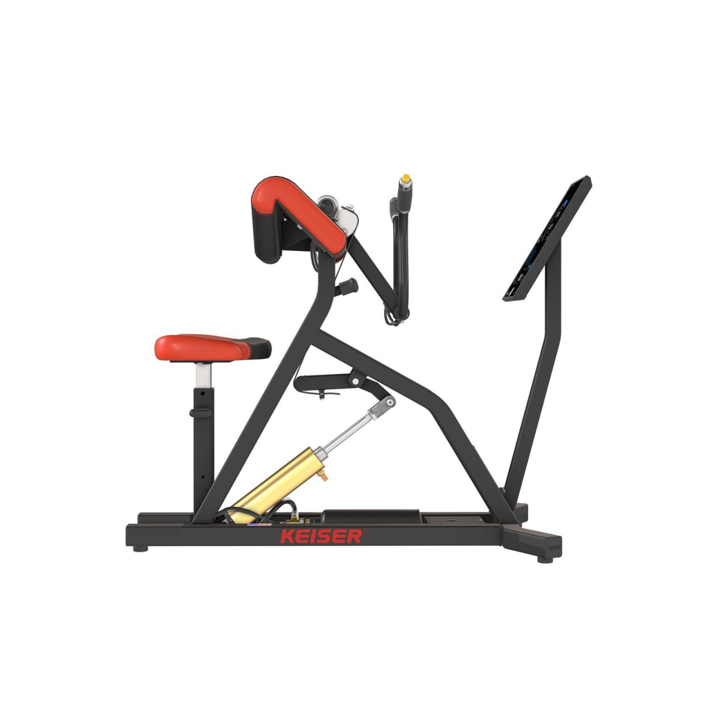 A400 Arm Curl - Görsel 4
