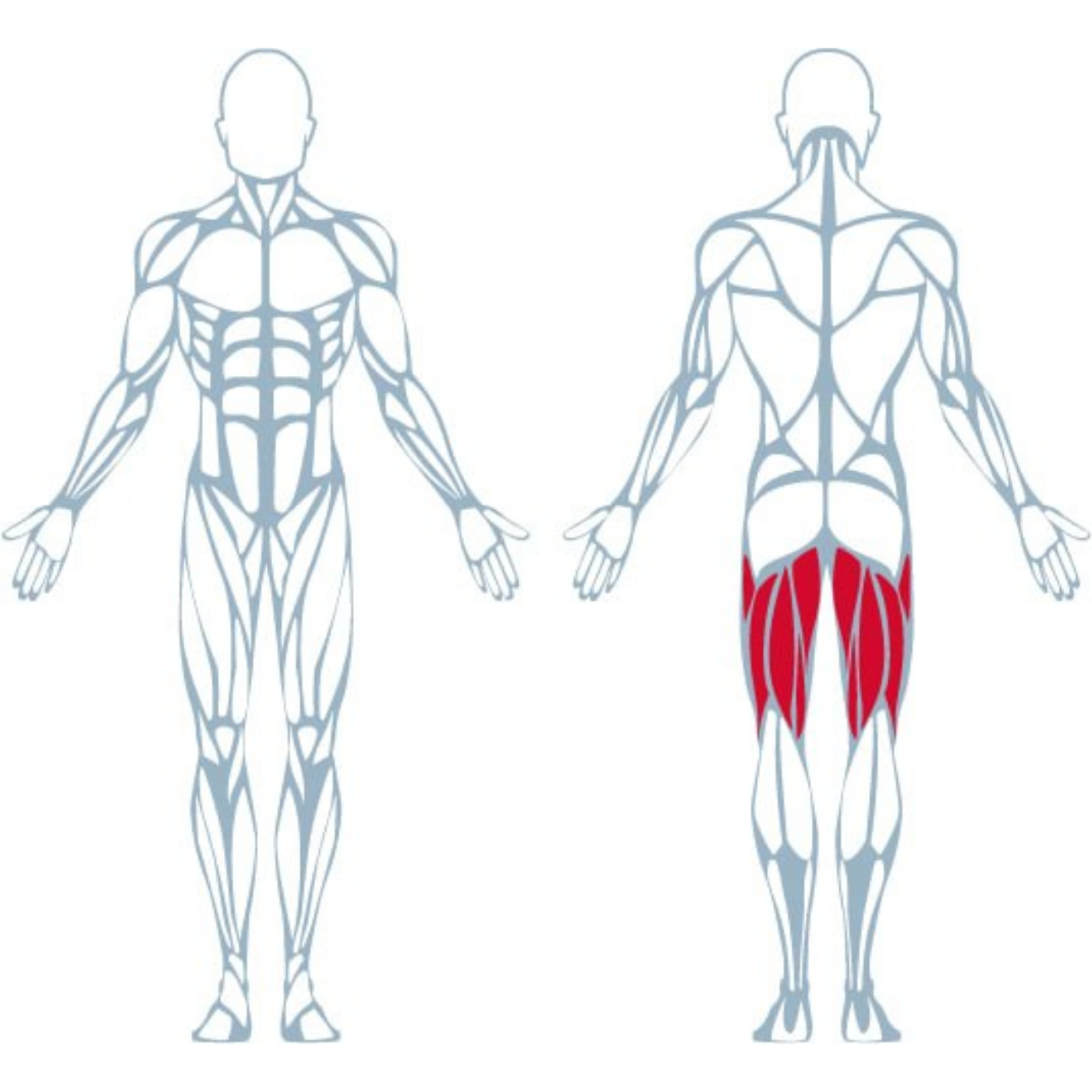 A400 Seated Leg Curl - Görsel 7