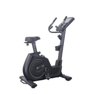 Profitness 1050U Black Dikey Bisiklet