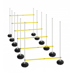 SLALOM SETİ KAUÇUK TABANLI STANDART