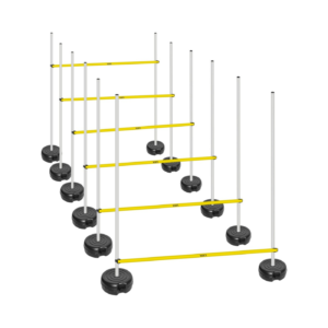 SLALOM SETİ BOŞ STANDART