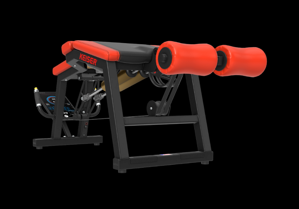A400 Leg Curl Pro