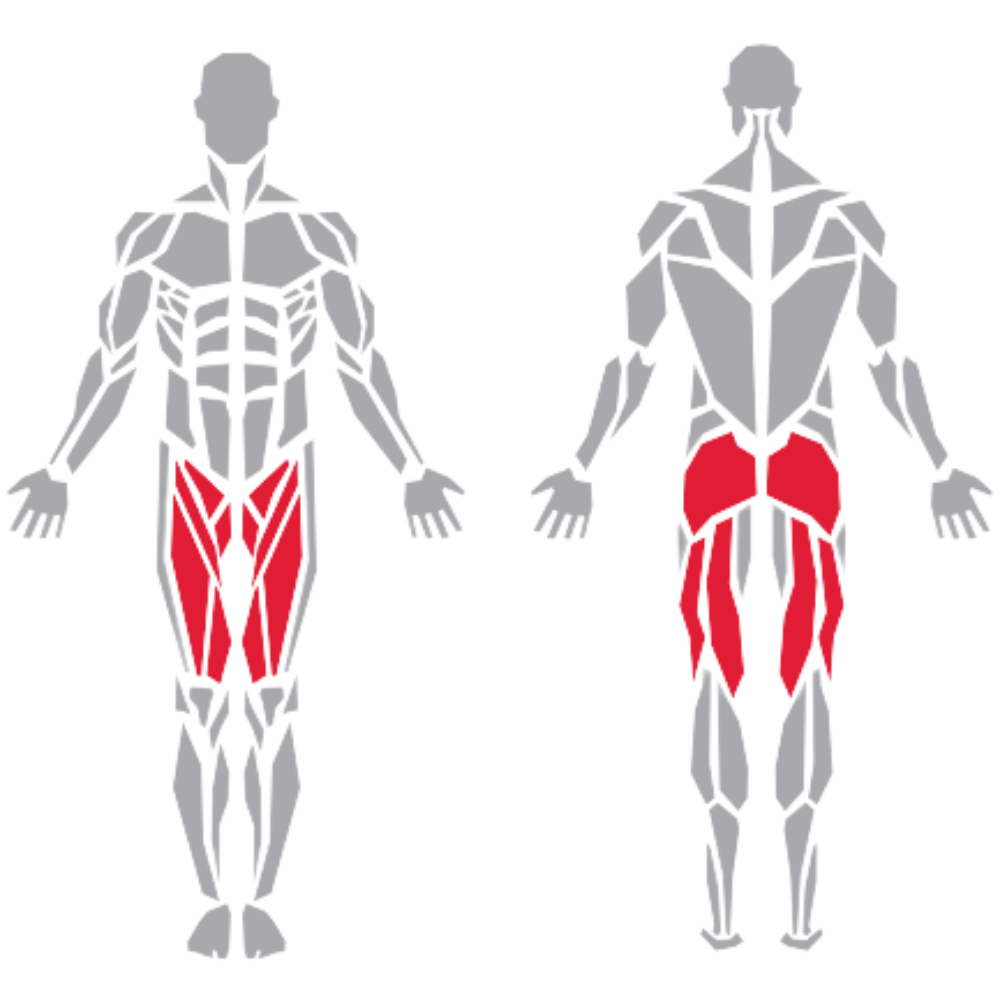 Quadriceps Hamstring kas grubu