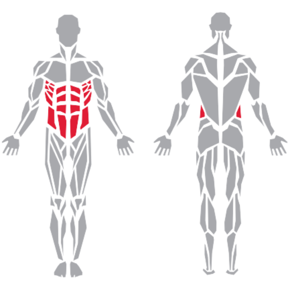Abdominals kas grubu