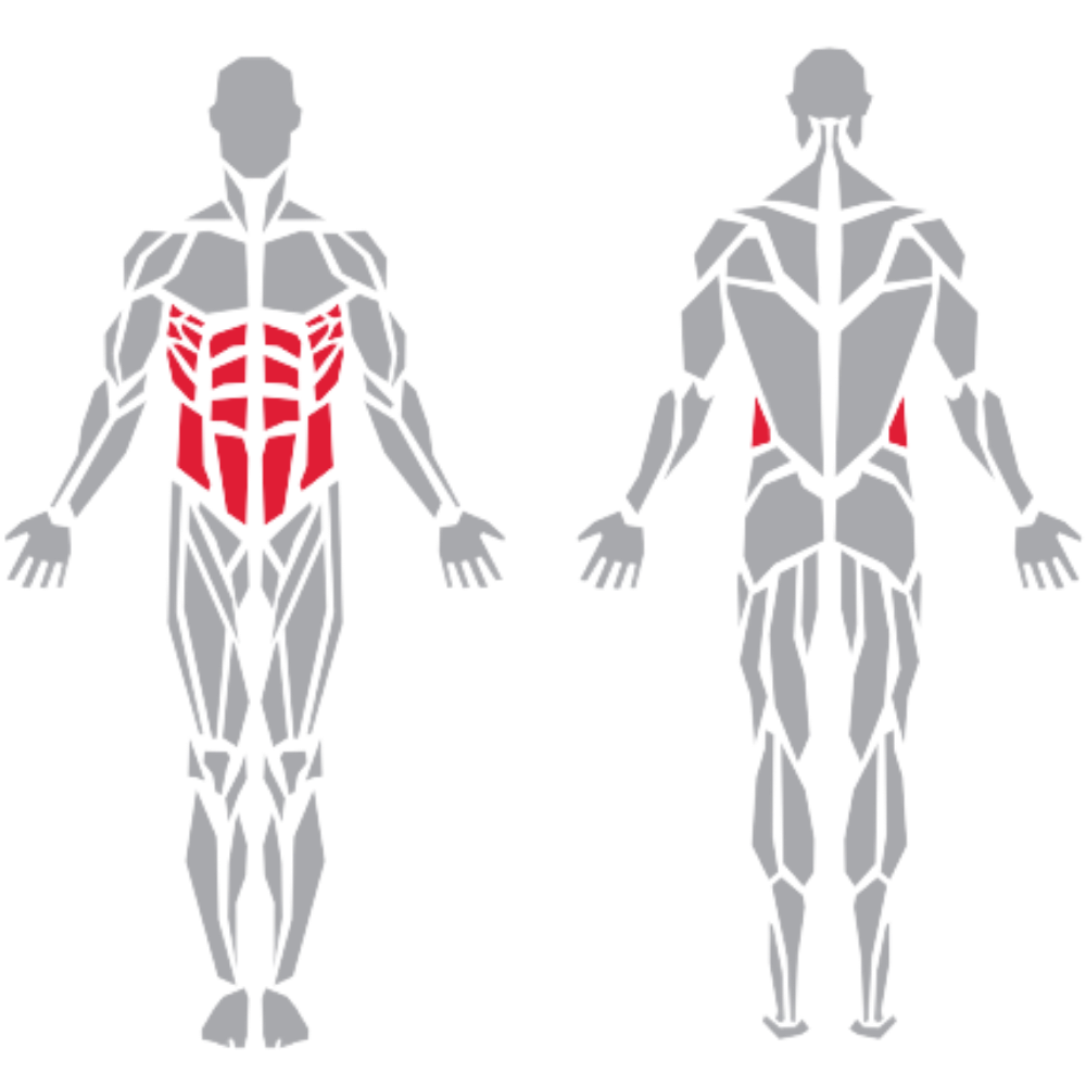 Abdominals kas grubu
