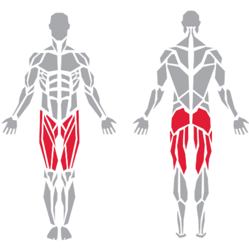 Hamstrings Gluteus Adductor kas grubu