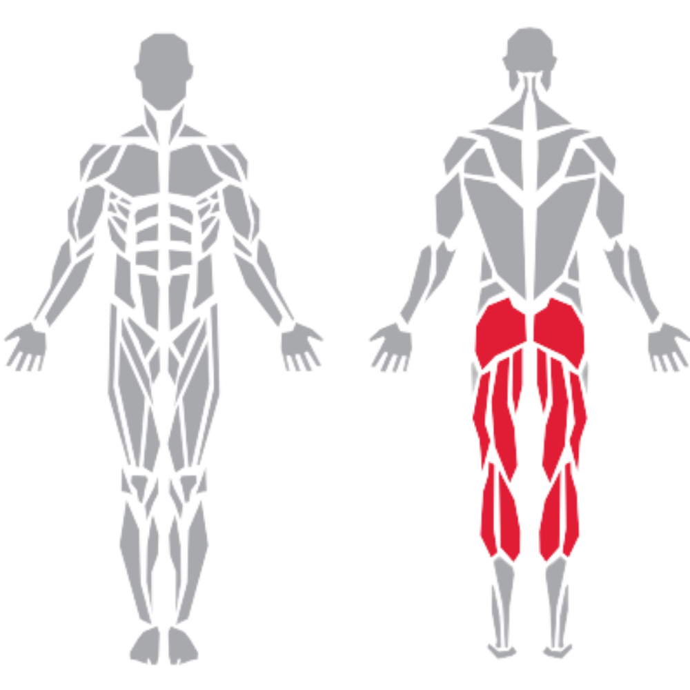 Gluteus Hamstrings Calves kas grubu