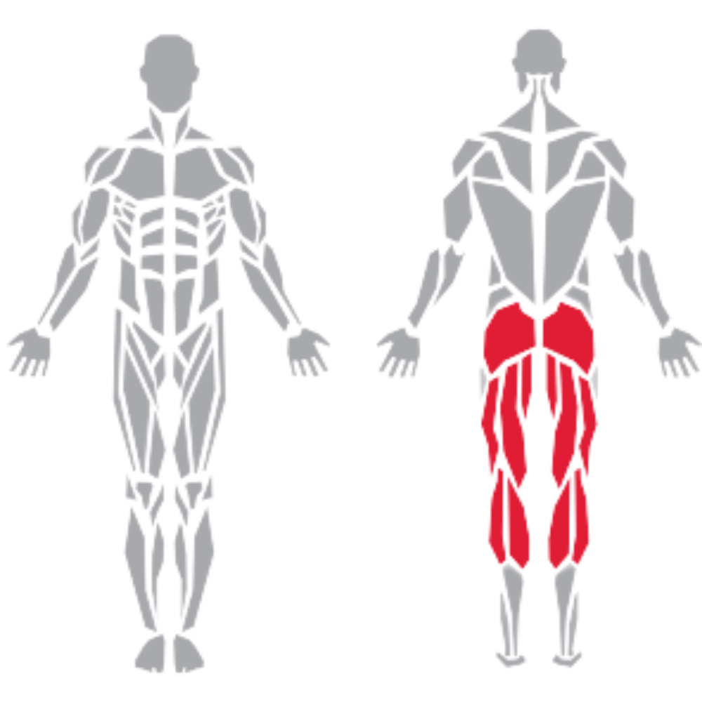 Gluteus Hamstrings Calves kas grubu