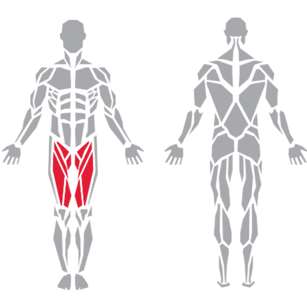 Quadriceps kas grubu