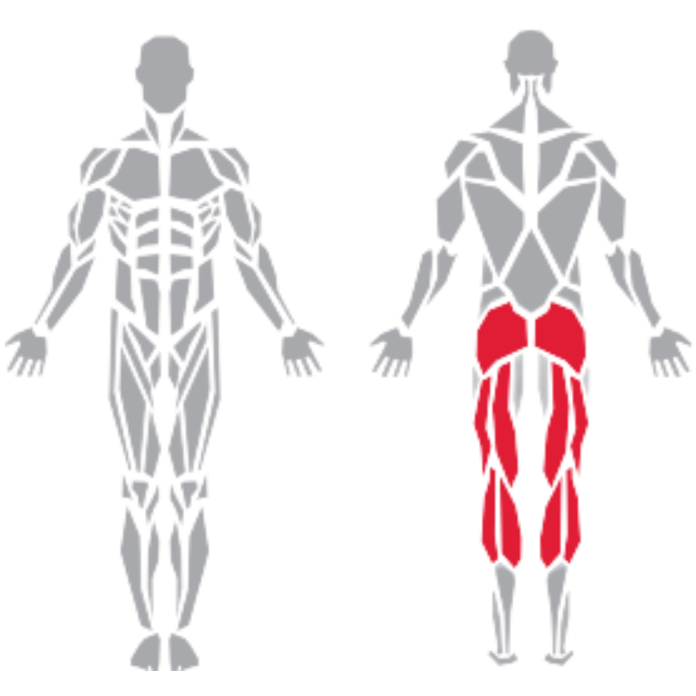 Gluteus Hamstrings Calves kas grubu
