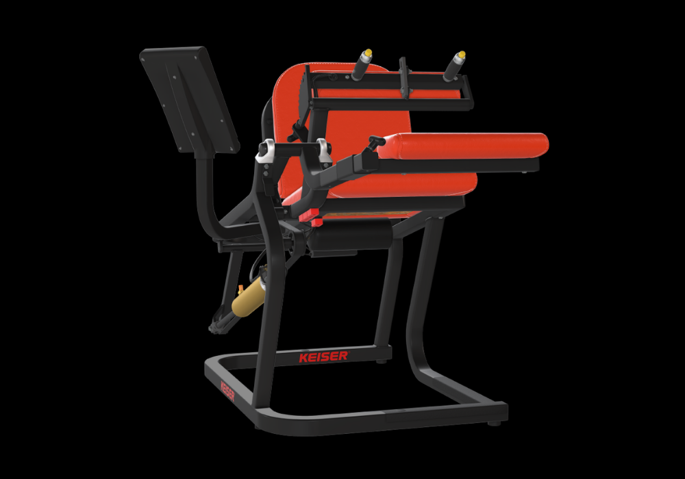 A300 Seated Leg Curl