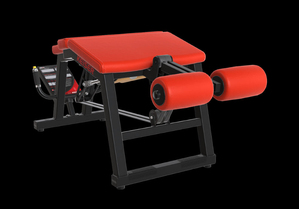 A300 Leg Curl Pro
