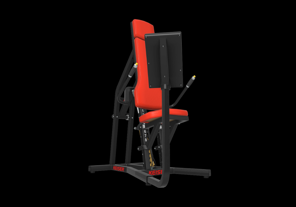 A300 Triceps