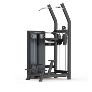 Diesel Fitness Prestige Assisted Chin/Dip