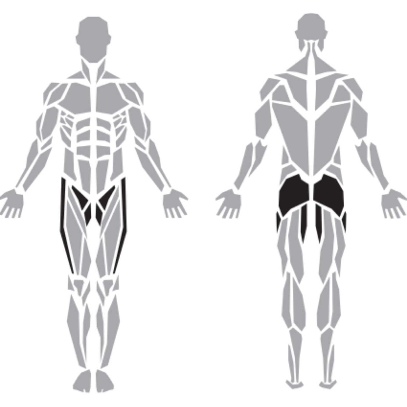 Diesel Fitness Prestige Dual Adductor Abductor makinesinin hedeflediği iç bacak ve dış kalça kasları