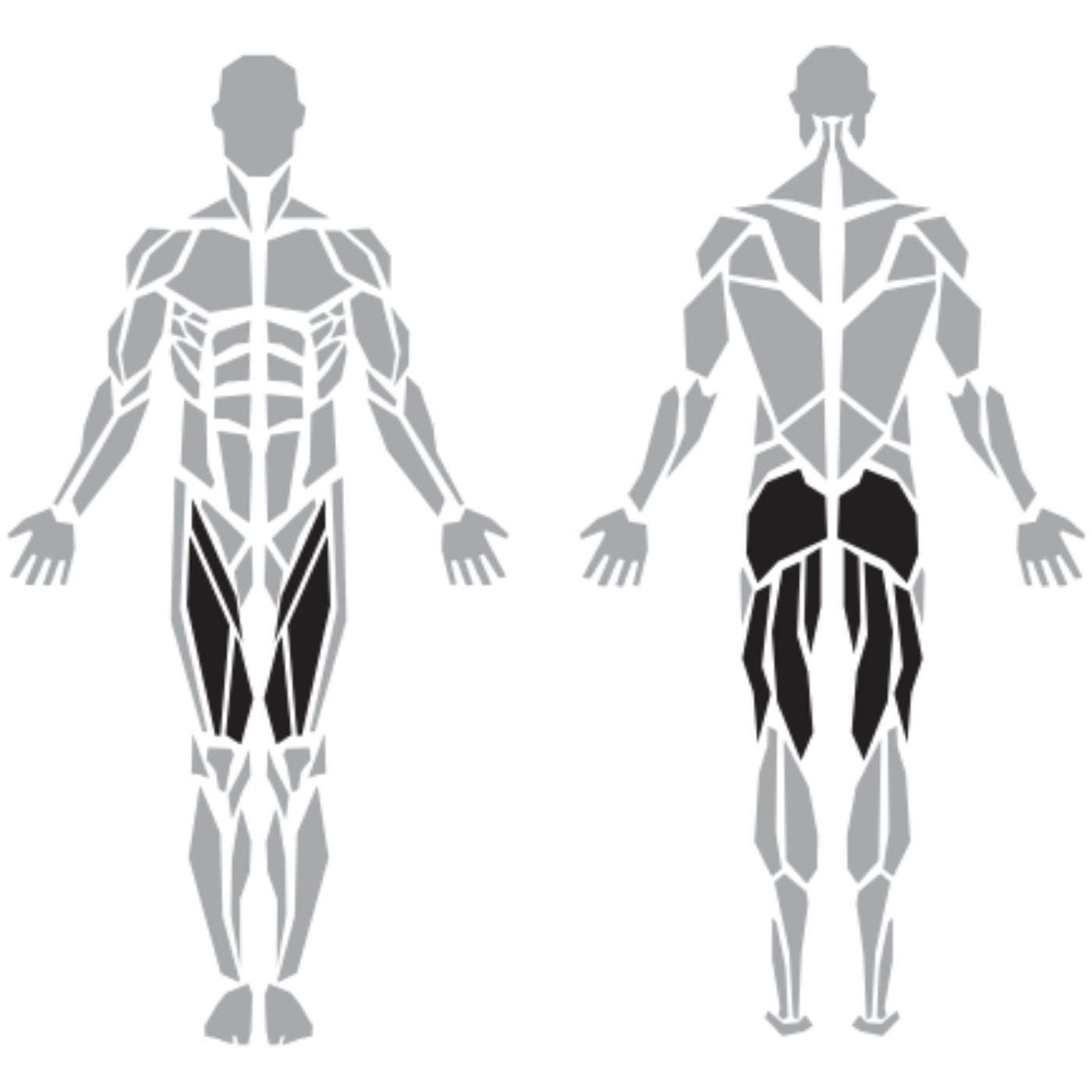 Diesel Fitness Prestige Dual Leg Extension Leg Curl makinesinin hedeflediği ön ve arka bacak kasları