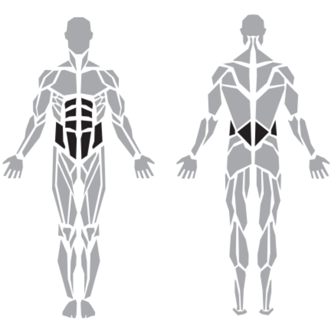 Diesel Fitness Prestige Dual Lower Back Abdominal Machine makinesinin hedeflediği karın, yan karın ve bel kasları