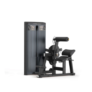 Diesel Fitness Prestige Dual Lower Back/ Abdominal Machine