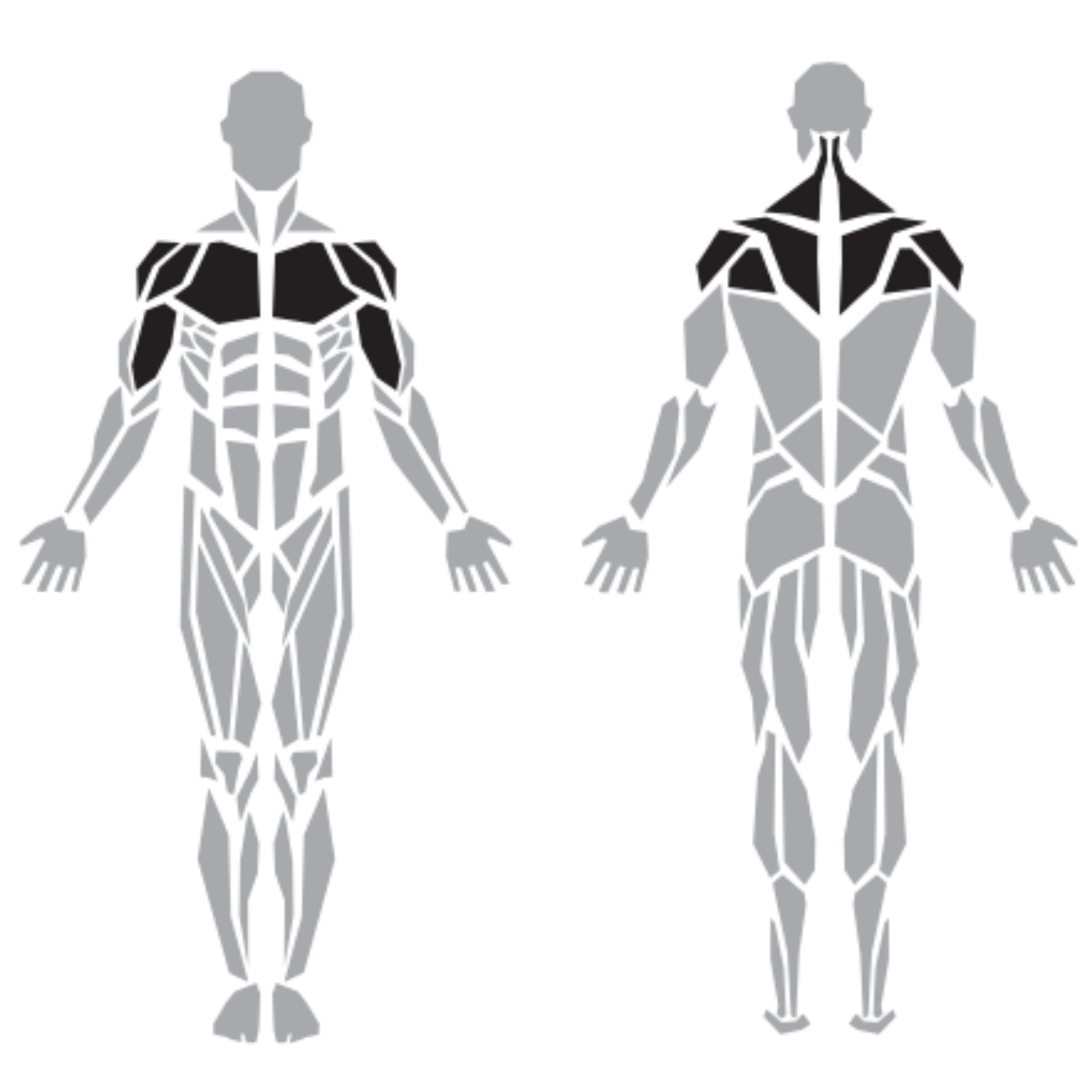 Diesel Fitness Prestige Pec Fly Rear Delt makinesinin hedeflediği göğüs, ön ve arka omuz ile üst sırt kasları