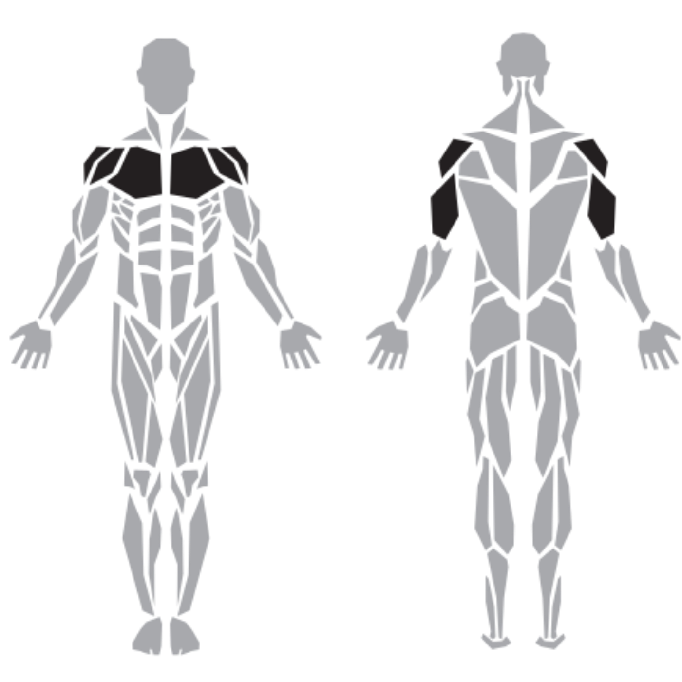 Diesel Fitness Prestige Seated Chest Press makinesinin hedeflediği göğüs, ön omuz ve arka kol kasları