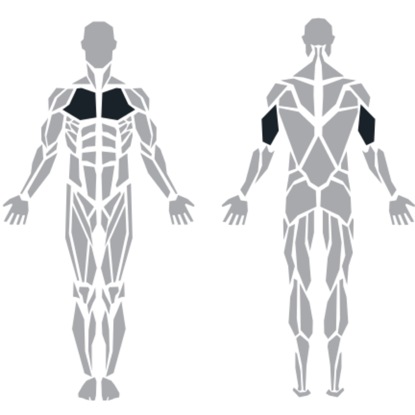 ProFitness HM35 Iso Lateral Decline Press makinesinin hedef kas gruplarını gösteren şema