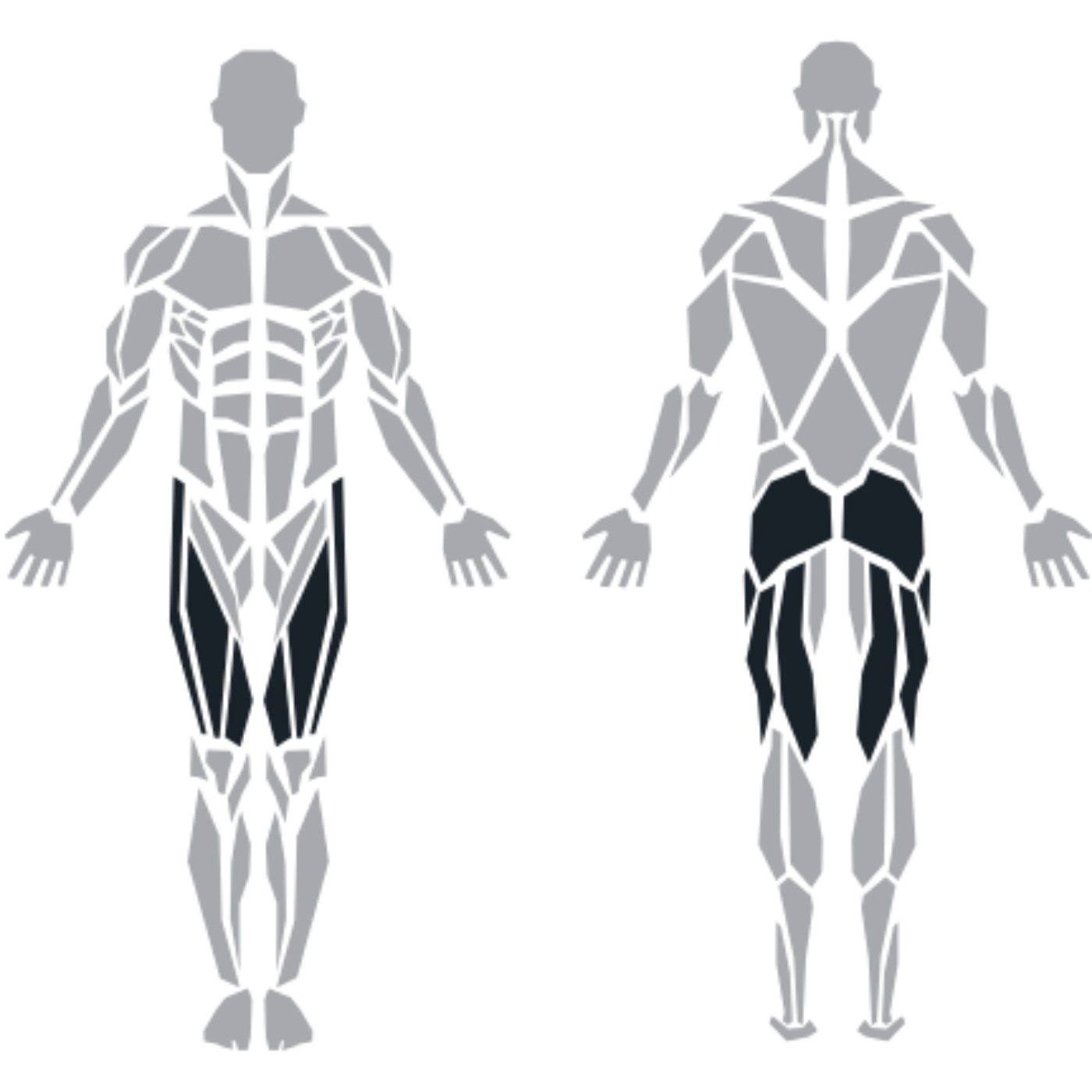 ProFitness Leg Press makinesinin hedeflediği ön bacak, kalça, arka bacak ve baldır kasları