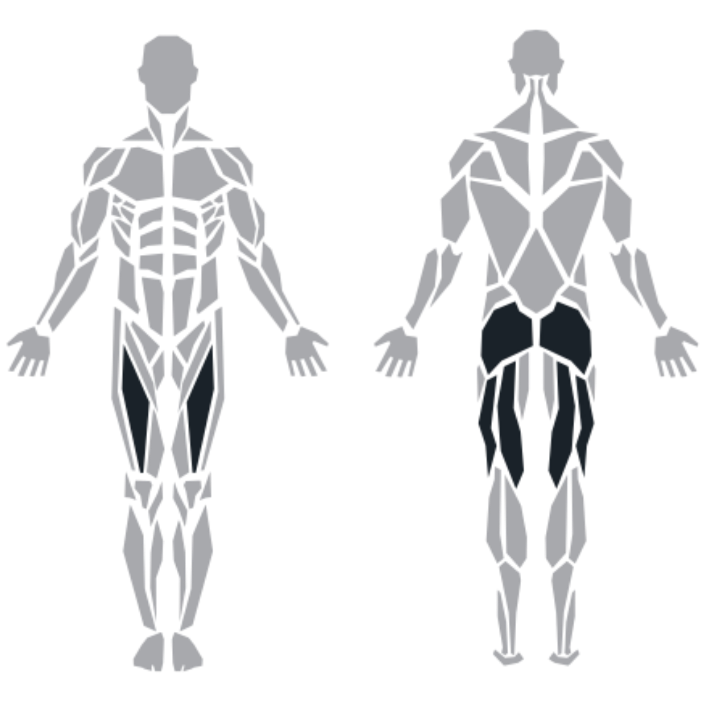 ProFitness Pin Loaded Hip Thrust makinesinin hedeflediği kalça, arka bacak ve iç bacak kasları